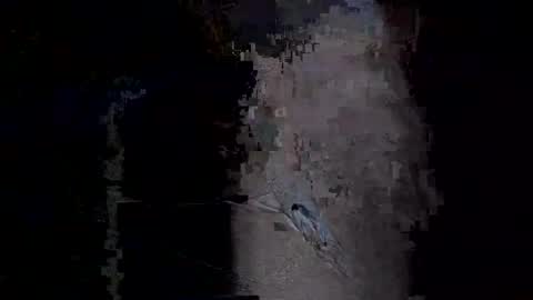 Vera online show from January 2026 11:53:02 PM