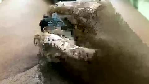 Jhon online show from March 2026 06:25:01 PM