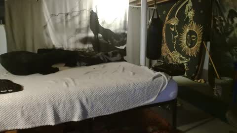 xxxjrstrokesxxx online show from September 2025 06:20:02 PM