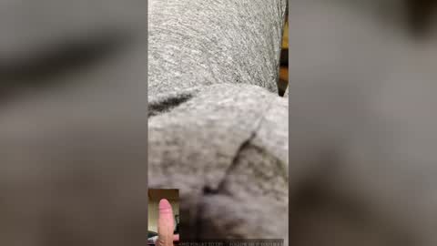 xxxxxxxxxxxxxx_ online show from December 2025 08:05:01 PM