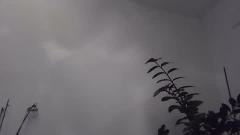 Snapshot of yakijoe chatting on November 2025 10:43:02 PM yakijoe online show from November 2025 10:43:02 PM