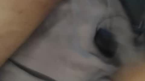 yallayalla1806 online show from November 2025 02:17:02 AM