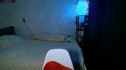 Anny online show from April 2026 04:01:01 PM