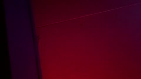 Ella Ts online show from December 2025 10:42:01 AM