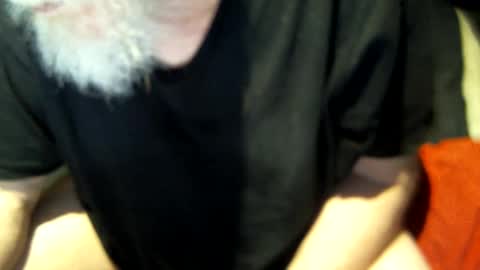 .     y e l l o w s n a k e s       . online show from March 2025 12:30:02 PM