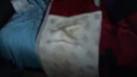 .     y e l l o w s n a k e s       . online show from November 2025 10:16:01 AM