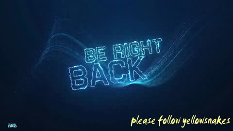 .     y e l l o w s n a k e s       . online show from December 2025 06:00:01 AM