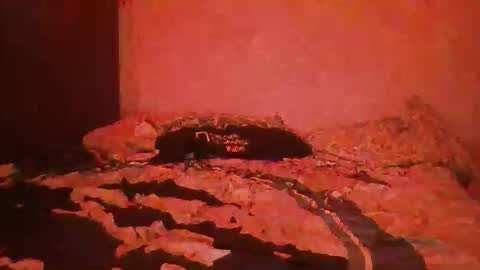 Snapshot of yeshuaaa999 chatting on November 2025 08:37:01 AM yeshuaaa999 online show from November 2025 08:37:01 AM