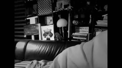 yessex247 online show from February 2026 06:20:02 AM