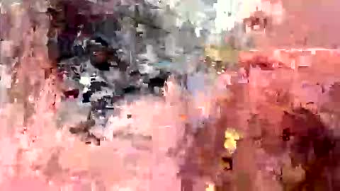 yngdylan online show from February 2026 06:31:02 AM