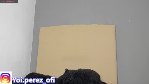 Yoi Olimpo online show from February 2025 12:22:02 PM