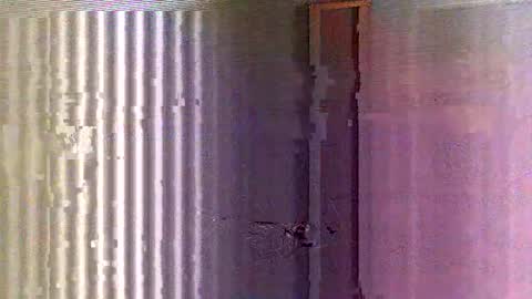 Snapshot of yorel64 chatting on February 2025 06:10:02 PM yorel64 online show from February 2025 06:10:02 PM