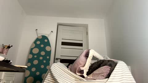 private on 18 per minute start private 500 tokensOnlyfans  online show from January 2025 08:44:01 PM