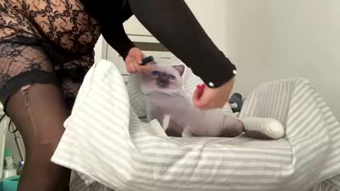 private on 18 per minute start private 500 tokensOnlyfans  online show from February 2025 09:32:01 AM