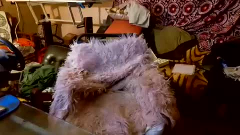 Taylor Tash online show from October 2025 05:08:01 AM