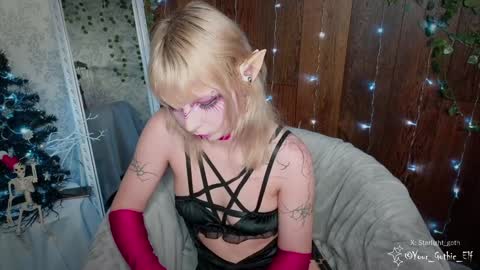 Snapshot of your_gothic_elf chatting on December 2024 01:54:02 PM Stella online show from December 2024 01:54:02 PM