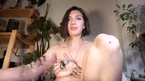 Viky online show from January 2025 08:44:01 PM