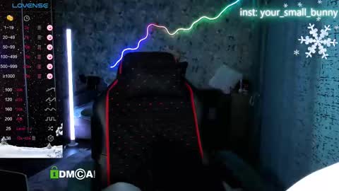 Snapshot of your_small_bunny chatting on February 2026 02:10:02 AM Molly online show from February 2026 02:10:02 AM