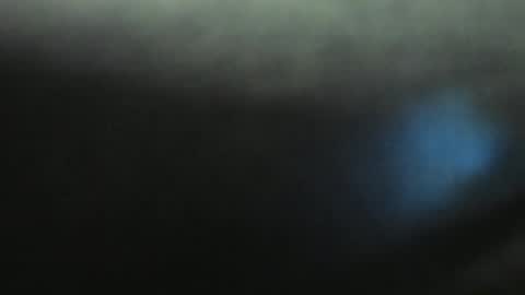 Snapshot of yourfantasyc chatting on January 2025 03:20:01 PM Evelline online show from January 2025 03:20:01 PM