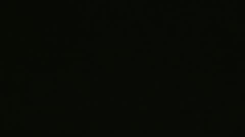 yourpersonalgeniusl online show from December 2024 08:07:02 AM