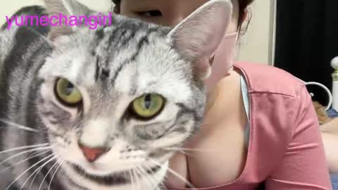 Snapshot of yumechangirl chatting on February 2025 03:16:02 AM YumechangirlAnime Fan    online show from February 2025 03:16:02 AM