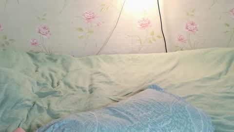 Polly online show from March 2026 02:31:02 PM