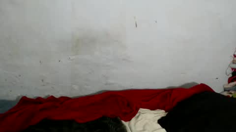 yummytittsxx online show from March 2026 03:09:01 AM