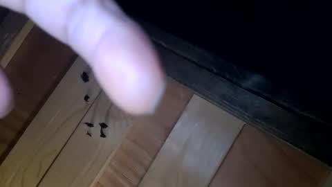 yungnhandsumdee online show from October 2025 05:51:02 AM