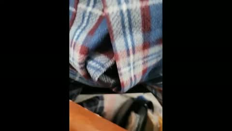 Snapshot of yuppers1234 chatting on February 2025 06:37:02 PM yuppers1234 online show from February 2025 06:37:02 PM