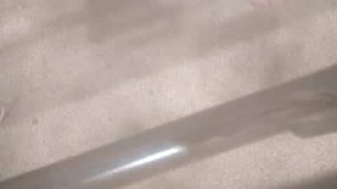 yzanalord12 online show from January 2025 12:12:01 AM