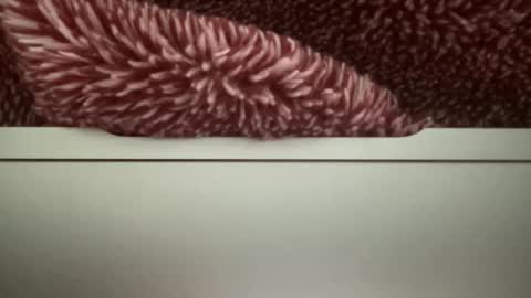 z95141 online show from October 2025 03:56:02 PM