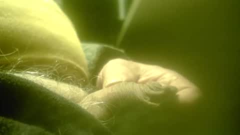 zaboski4 online show from February 2026 08:24:07 AM