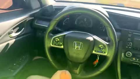 zadddy209 online show from December 2024 07:39:02 PM