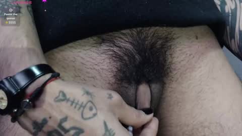 Snapshot of zeldrissss chatting on February 2025 03:50:02 PM Zeldris online show from February 2025 03:50:02 PM