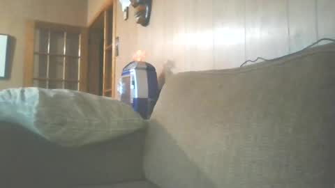 Snapshot of zenflow87 chatting on July 2026 01:10:02 AM zenflow87 online show from July 2026 01:10:02 AM