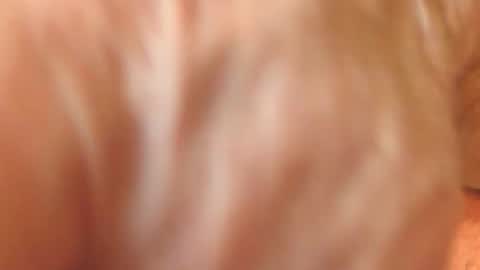 zevioo77 online show from November 2025 11:58:01 AM