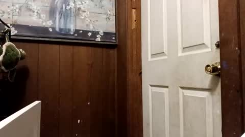 Snapshot of zfdcuvxqqtzh chatting on November 2025 03:27:01 AM zfdcuvxqqtzh online show from November 2025 03:27:01 AM