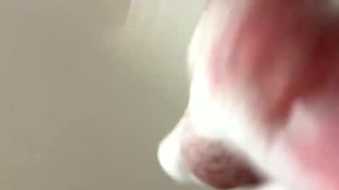ziggyyz online show from March 2025 09:05:02 AM