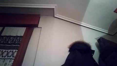 zigor13 online show from February 2026 09:31:02 PM