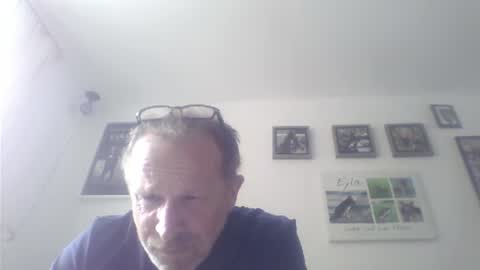 Snapshot of zippi55 chatting on July 2026 01:29:02 PM Zippi online show from July 2026 01:29:02 PM