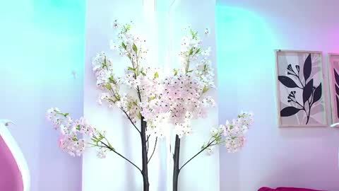 Zoe online show from May 2026 01:13:01 AM