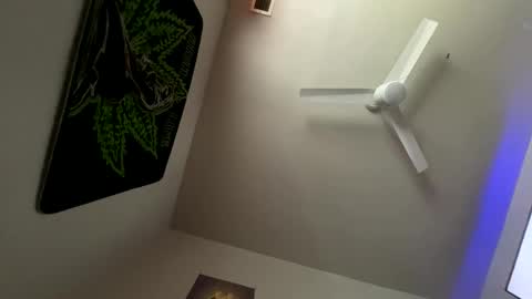 Snapshot of zoel87 chatting on February 2025 02:26:02 PM LovelyLatin25 online show from February 2025 02:26:02 PM