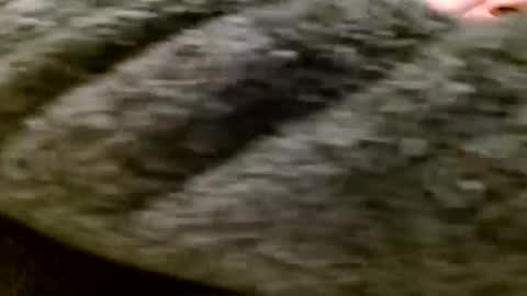 Snapshot of zolexthomas chatting on January 2025 05:35:02 PM zolexthomas online show from January 2025 05:35:02 PM