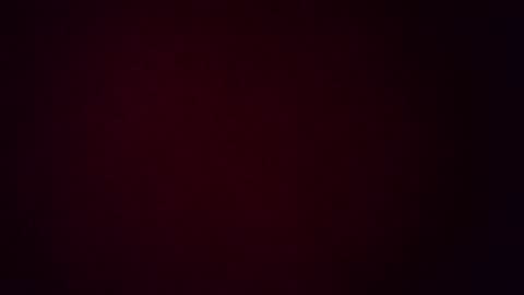 Zomas online show from November 2025 07:53:01 AM