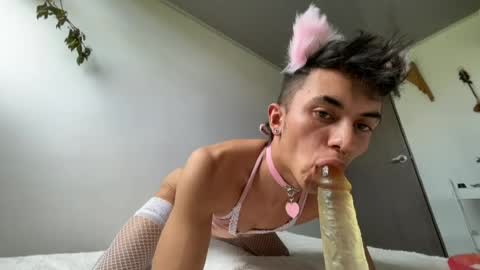 Snapshot of zorrosumiso chatting on August 2026 08:44:02 PM Zorrosumiso online show from August 2026 08:44:02 PM