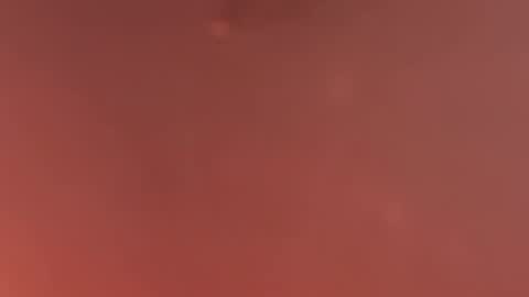 Zuckerzel online show from April 2026 03:28:01 PM