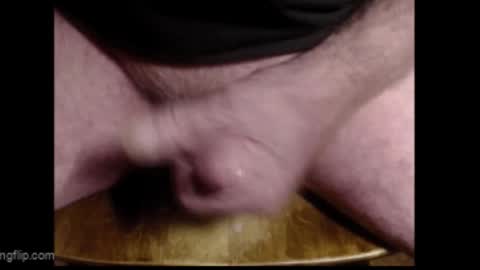 ZZ online show from March 2026 01:05:02 PM