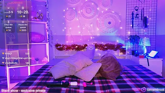 Snapshot of ServantBrook chatting on December 2024 11:00:01 AM ServantBrook online show from December 2024 11:00:01 AM