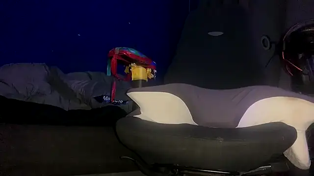 Snapshot of ZandersaSimp chatting on December 2025 05:08:02 PM ZandersaSimp online show from December 2025 05:08:02 PM