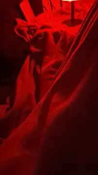 BirdyOfficial   online show from November 2025 01:27:01 AM